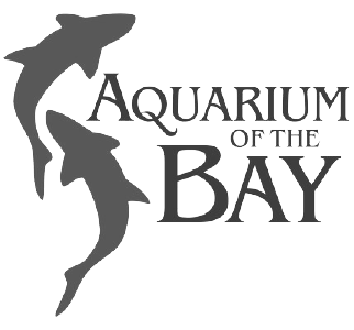 Monterey Bay Aquarium